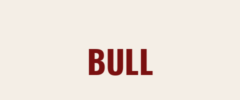 Bull — we service Bull grills