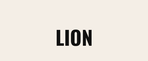 Lion — we service Lion grills