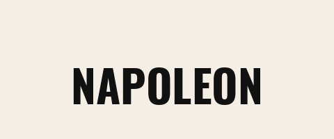 Napoleon — we service Napoleon grills
